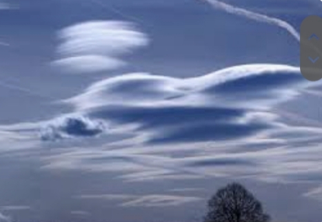 20250420_130610.jpg