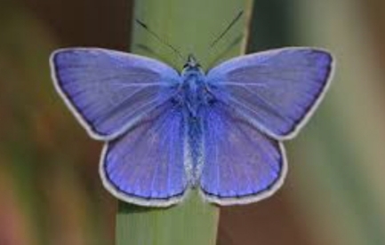20250720_132632.jpg